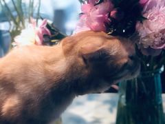 -花与咖啡馆(金星楼店)