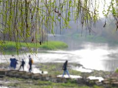 -中国天府农业博览园