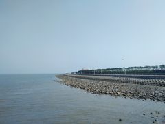 -东疆建设开发纪念公园