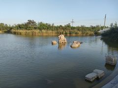 -大港湿地公园