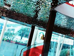 -为什么牛潮汕牛肉火锅(中信广场店)