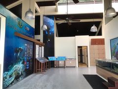 -东姑阿都拉曼海洋公园
