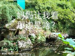 -杭州植物园