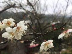 -广东天露山旅游度假区