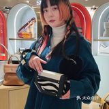 貌美独特小挎包 宝藏国货包包ZESH秋季新品