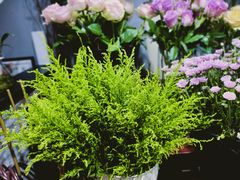 -何兮花店·气球派对鲜花店(马桥银春路万科城店)