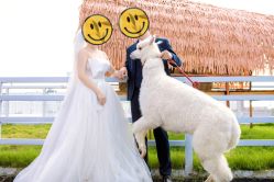 -花漾摄影优选工作室(东莞原创作品店)