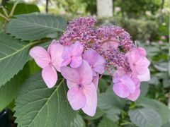 -常州古运河南大街文化旅游区-人民公园