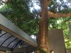 -香港大学