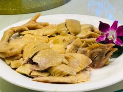 白切阳山鸡-广东胜利宾馆西关粤中餐厅