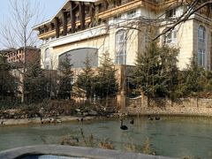-芭东小镇温泉