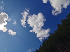 -阿尔山市大兴安岭奥伦布坎景区