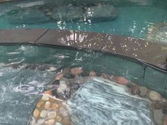 -碧桂园润杨溪谷温泉酒店