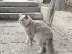 -信号山公园