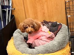 -百美汇影城(LUXE嘉里中心店)