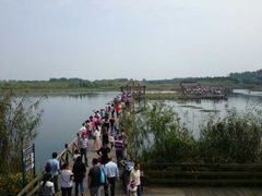 -溱湖国家湿地公园