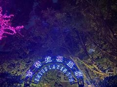 -深圳东部华侨城茵特拉根酒店