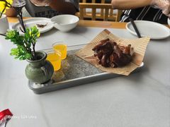 -鸽小宝(深圳首店)
