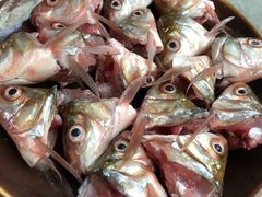 -章记正宗南岗鱼蛋火锅