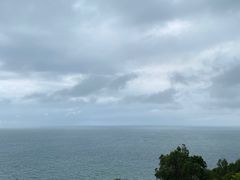 -广东惠东海龟国家级自然保护区