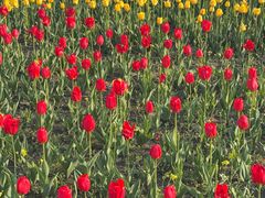 -长春公园(普阳街道)