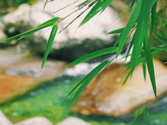 -苍山感通索道