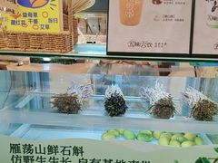 -上海世纪汇广场