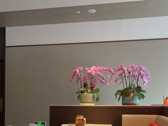 -嘉宴·精致客家菜