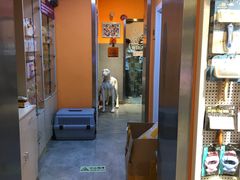 -我爱吾宠宠物美容院(朝阳路店)