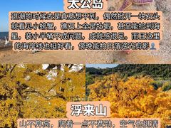 -巧克力渔家.小船海鲜胶东菜(万平口店)