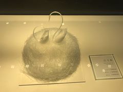 -BLACKSWAN黑天鹅(环球店)
