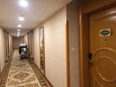 -维也纳酒店(南京奥体中心店)