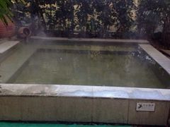 -仁爱团泊湖温泉中心