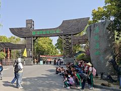 -溱湖国家湿地公园