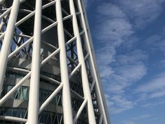 -赏点粤式点心(广州塔店)