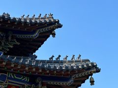 -梅花山(明孝陵内)
