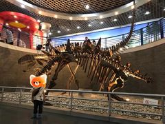 -国家自然博物馆