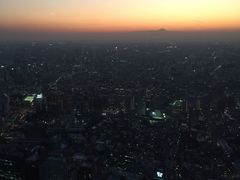 -东京都厅舍