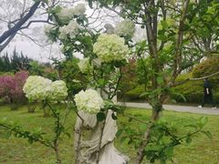 -合肥三国新城遗址公园