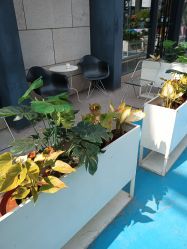 -嗨翻Hi-Fun竞技主题乐园·蹦床团建生日聚会(五棵松华熙店)