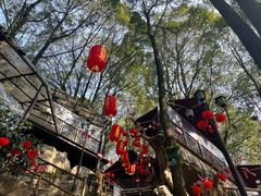 -巴倒烫陆派重庆火锅(南山店)