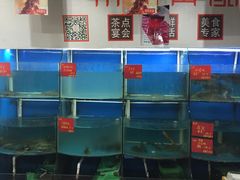 水产区-紫阳家宴(源深店)