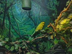 -上海海洋水族馆