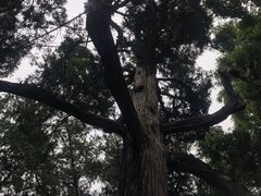 -保定直隶总督署博物馆