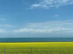 -青海湖国家重点风景名胜区