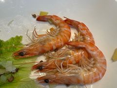 -好礼家海鲜•海肠捞饭大王(金沙滩念慈别墅店)