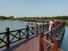 -南湖湿地公园
