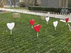 -兔途体检(十里堡青年路店)