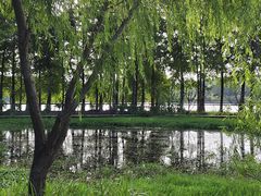 -长广溪湿地公园