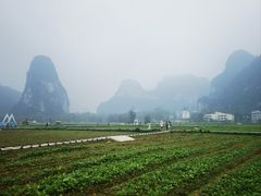 -明仕田园